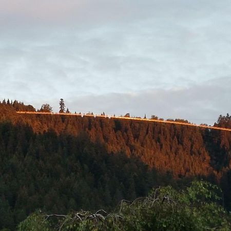 Stuermlesloch Leilighet Bad Wildbad Eksteriør bilde