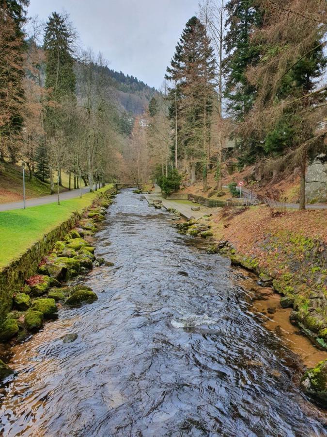 Stuermlesloch Leilighet Bad Wildbad Eksteriør bilde