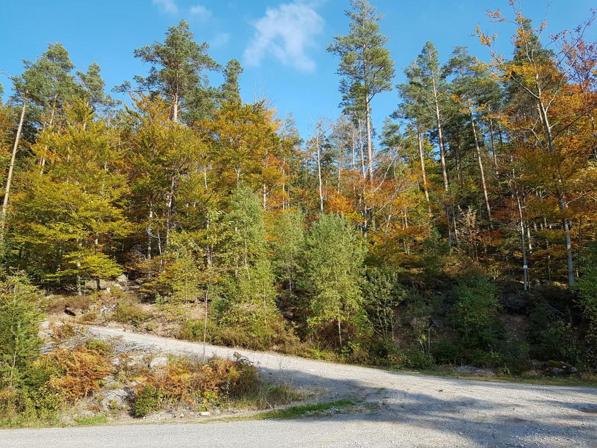 Stuermlesloch Leilighet Bad Wildbad Eksteriør bilde