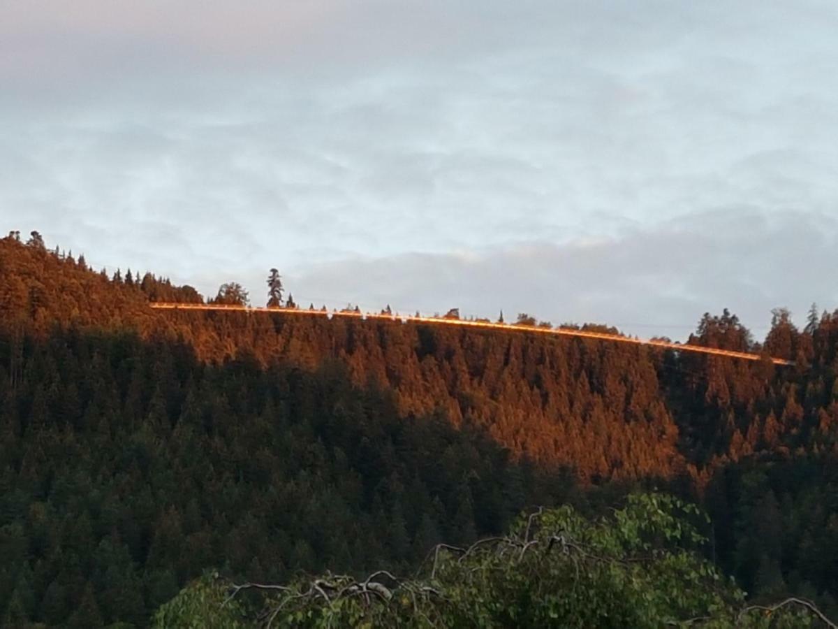 Stuermlesloch Leilighet Bad Wildbad Eksteriør bilde